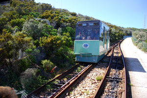 Cape Point Tram
