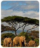 Kenya_Accommodation