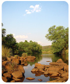 Mapungubwe Reservations