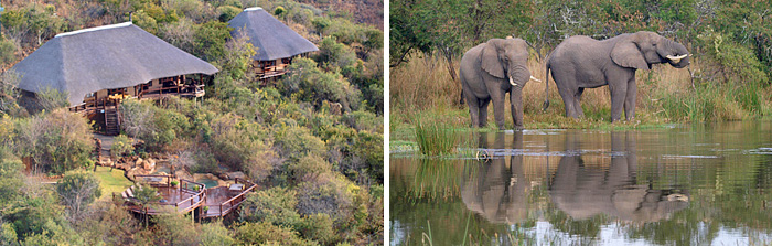 Elephant Rock Private Safari Lodge