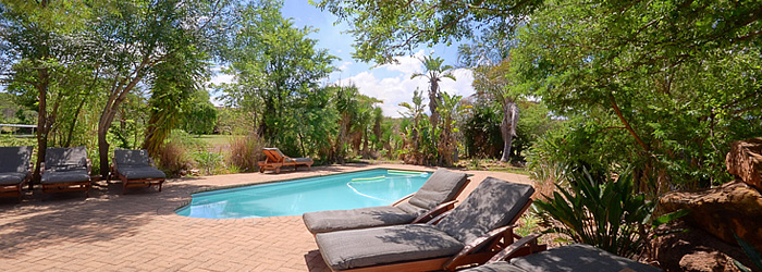 Swimming pool Safari Vacation Ndaka Safari Lodge Nambiti Nambiti Private Game Reserve