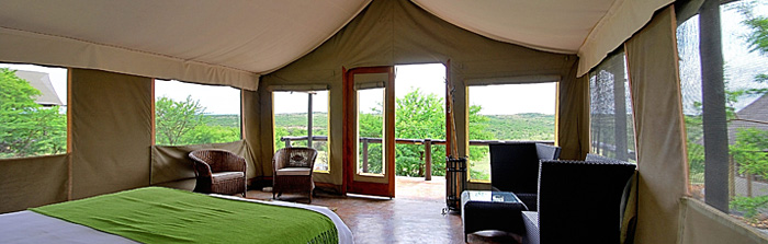 Springbok Lodge Nambiti Game Reserve Luxury Safari Tented Lodge KwaZulu-Natal South Africa