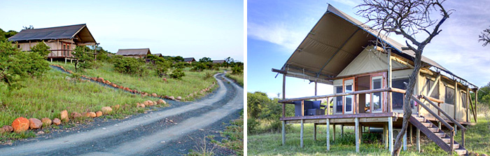 Nambiti Out of Africa Safari Experience Tents Suites Springbok Lodge Nambiti Private Game Reserve KwaZulu-Natal South Africa