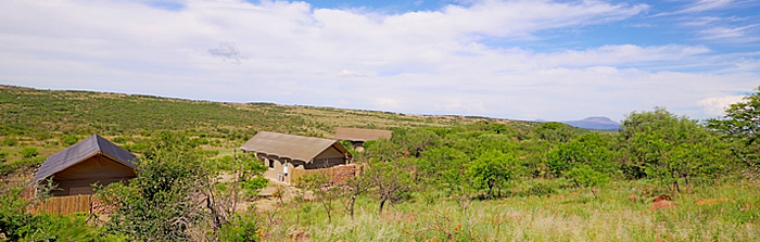 View tents Springbok Lodge Nambiti Game Reserve Luxury Safari Tented Lodge KwaZulu-Natal South Africa
