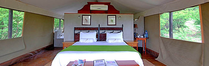 Luxury Safari Tented Lodge Springbok Lodge Nambiti Game Reserve KwaZulu-Natal South Africa