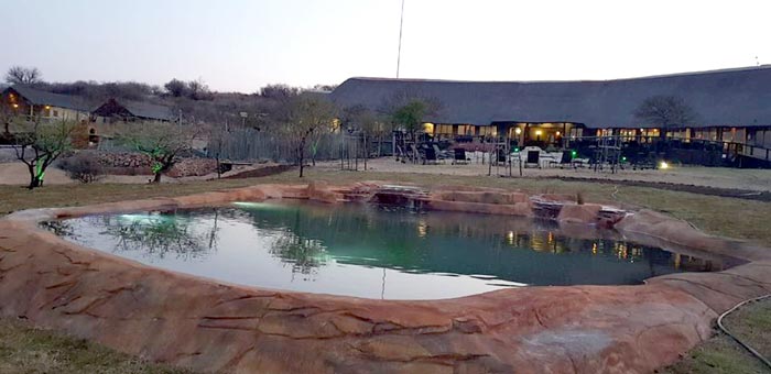 New Swimming pool - Springbok Lodge Nambiti Game Reserve Luxury Safari Tented Lodge KwaZulu-Natal South Africa - Credit - Springbok Lodge