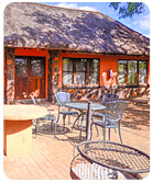 Mkuze Reservations Mkhuze Accommodation