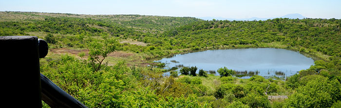 View waterhole Elephant Rock Lodge Nambiti Private Game Reserve Big 5 Safari Game Lodge