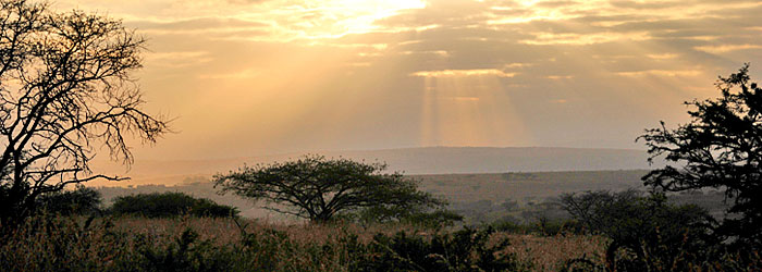 Sunset Esiweni Luxury Safari Lodge Nambiti Private Game Reserve