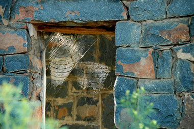 Spider Web window Ruin Homestead Nambiti Private Game Reserve KwaZulu-Natal South Africa