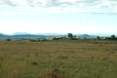 Landscape Nambiti Private Game Reserve KwaZulu-Natal South Africa