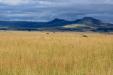 View Nambiti Private Game Reserve KwaZulu-Natal South Africa