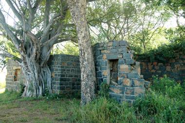 Old Homestead Nambiti Private Game Reserve KwaZulu-Natal South Africa