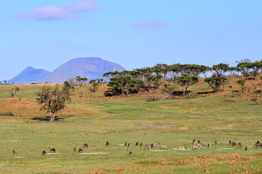 Landscape Nambiti Private Game Reserve KwaZulu-Natal South Africa