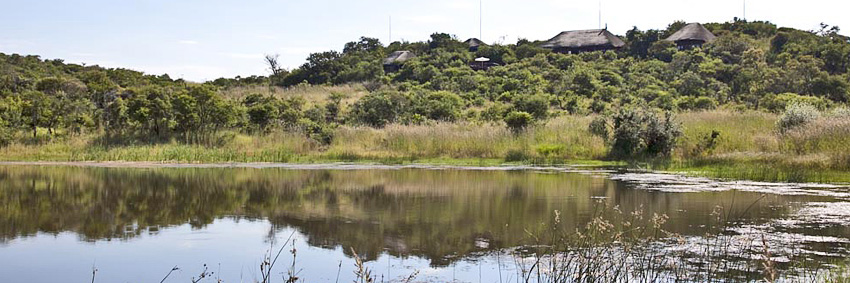 Elephant Rock Safari Lodge, Nambiti Private Game Reserve