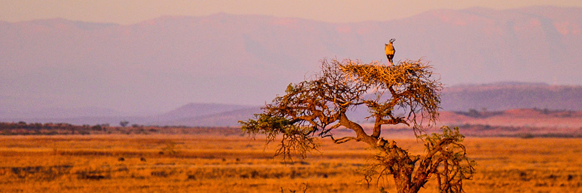 Nambiti Private Game Reserve