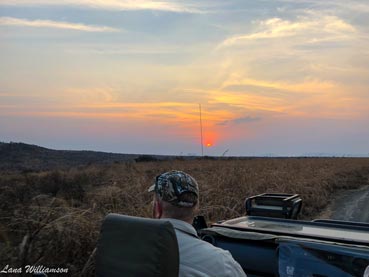 Game Drive, Nambiti Plains Lodge, Nambiti Private Game Reserve