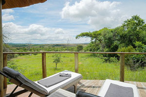 Nambiti Plains Lodge Nambiti Private Game Reserve African Safari KwaZulu-Natal South Africa