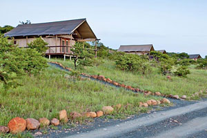 Springbok Lodge, Tented Safari Lodge in Nambiti Private Game Reserve Springbok Lodge Nambiti Private Game Reserve African Safari KwaZulu-Natal South Africa