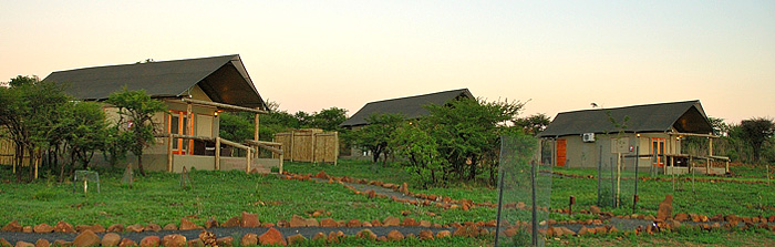 Nambiti Springbok Lodge Nambiti Private Game Reserve Luxury Tented Suites